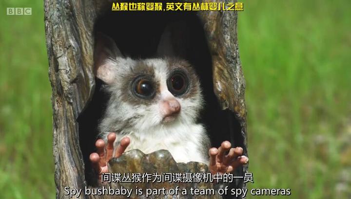 《舌尖上的中国》味蕾之旅